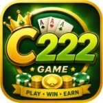 C222 Game Logo