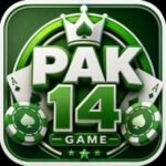 PAK14 Game Logo